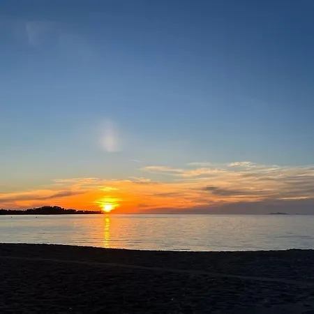 Sublime T3 Neuf Vue Mer,sanguinaires, à Pied Grosseto-Prugna